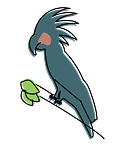 parrot