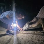 פסיטבל 30 שנה לגן גורו בסוכות