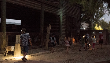 Sleep in an Australian zoo q